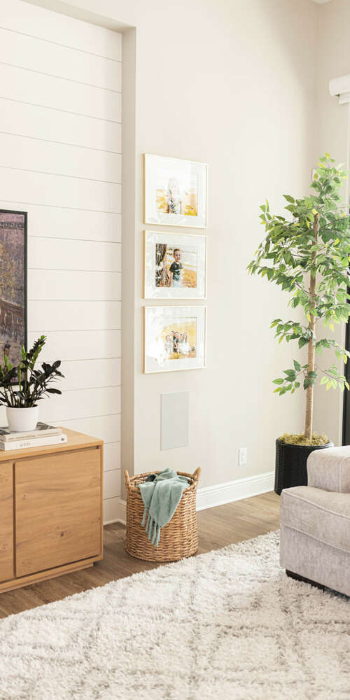 paintings on white wall basket next to wood furniture and large plant next to white sofa and large window