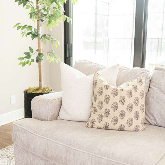 white sofa with white cushions next to large plant and wood floor